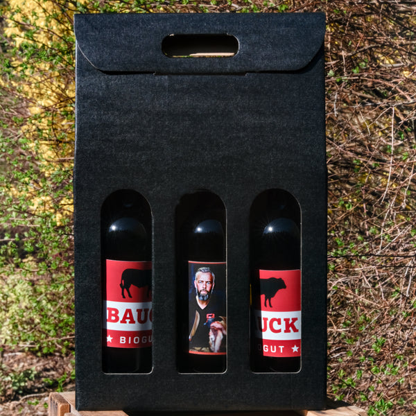 Wine gift set with 3 bottles